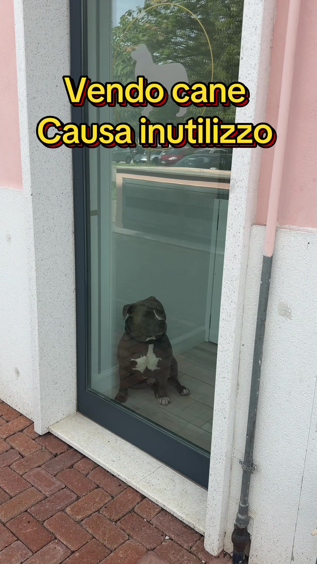 @MASSI e MINO