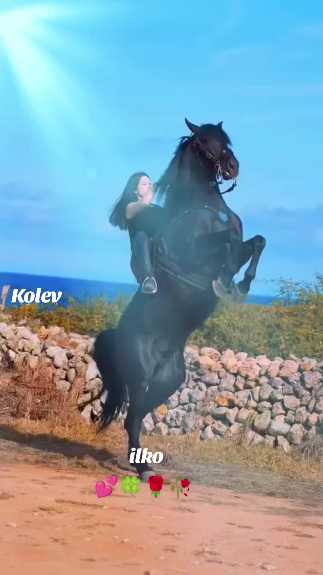 @ilkokolev401