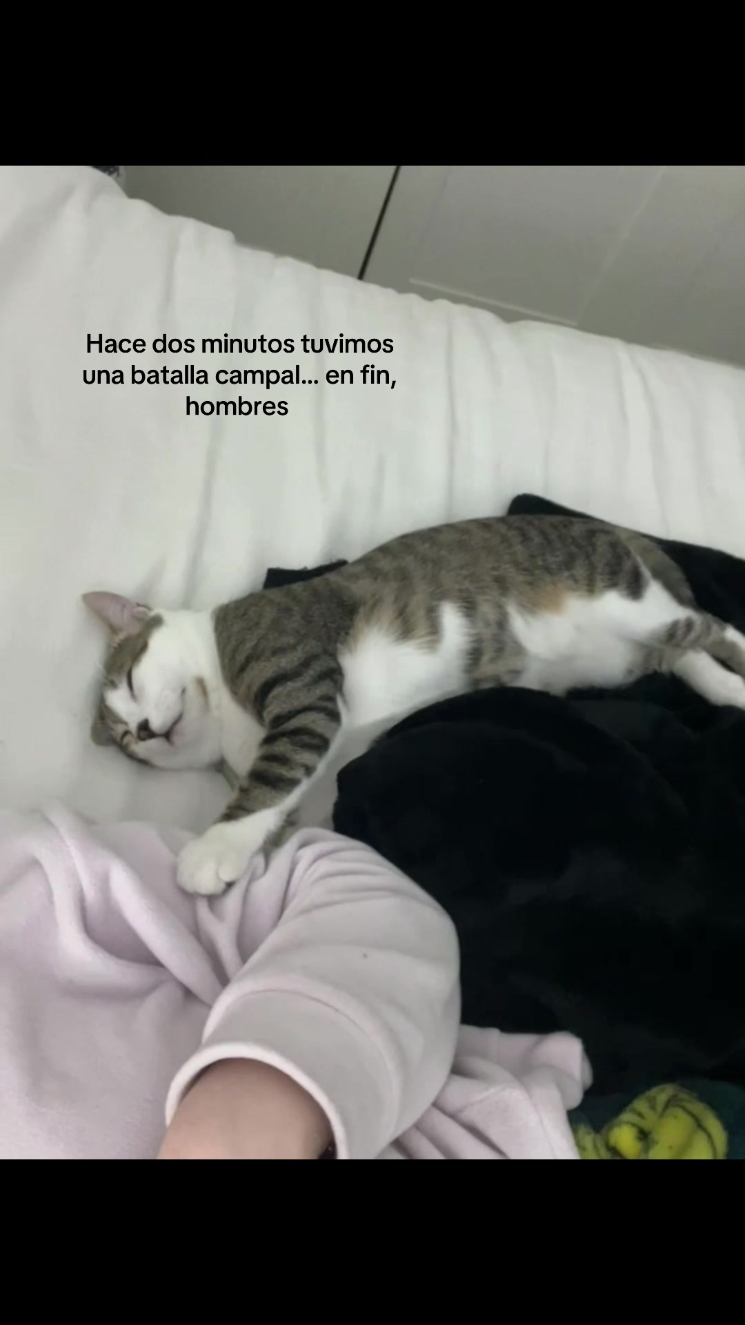 @Nere