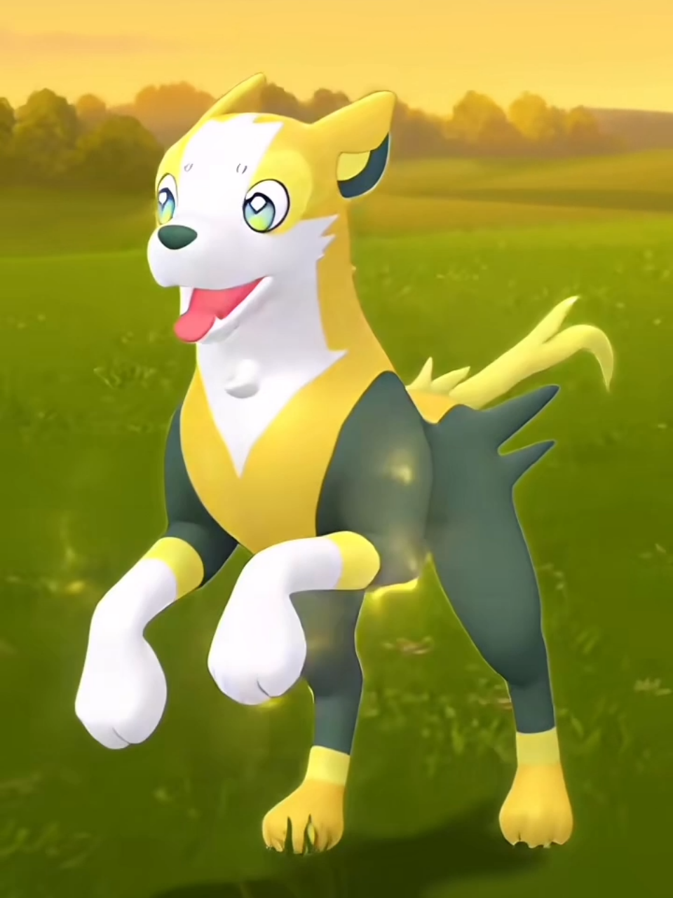 @PokeDance