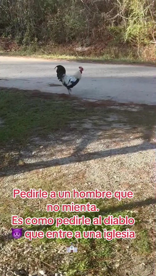 @Elsita Bejarano