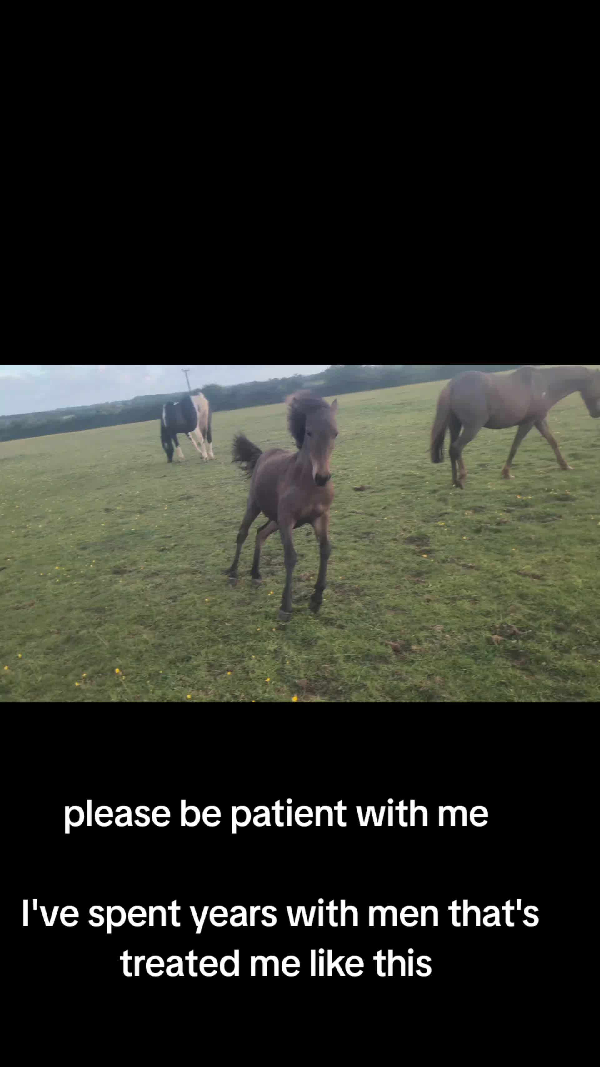 @bethknox098