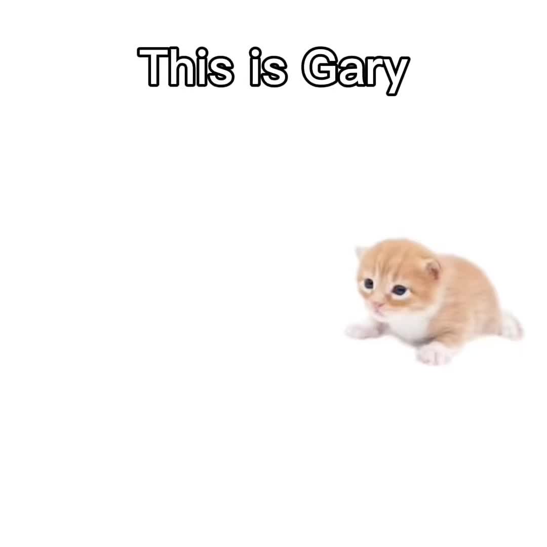 @Yin