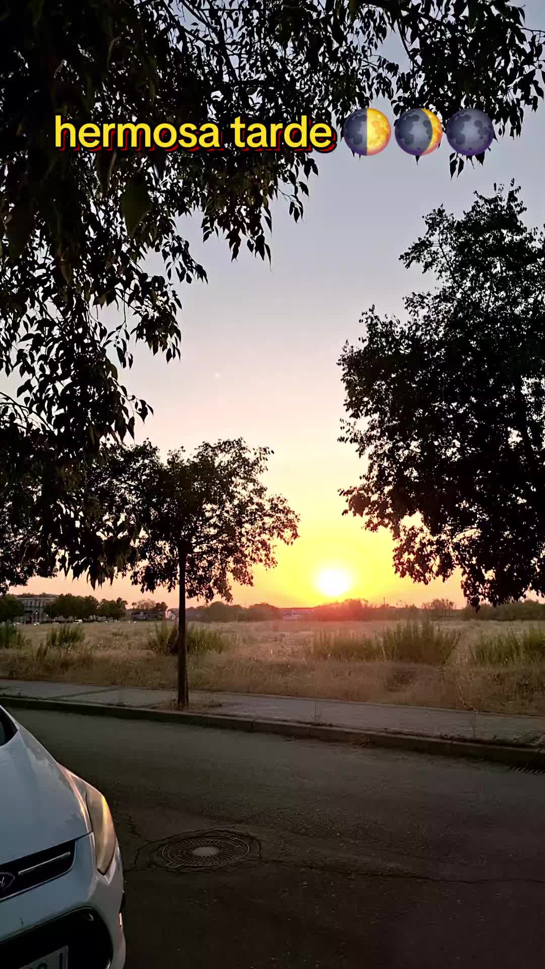 @Beatriz 🥰⚘️🇪🇨