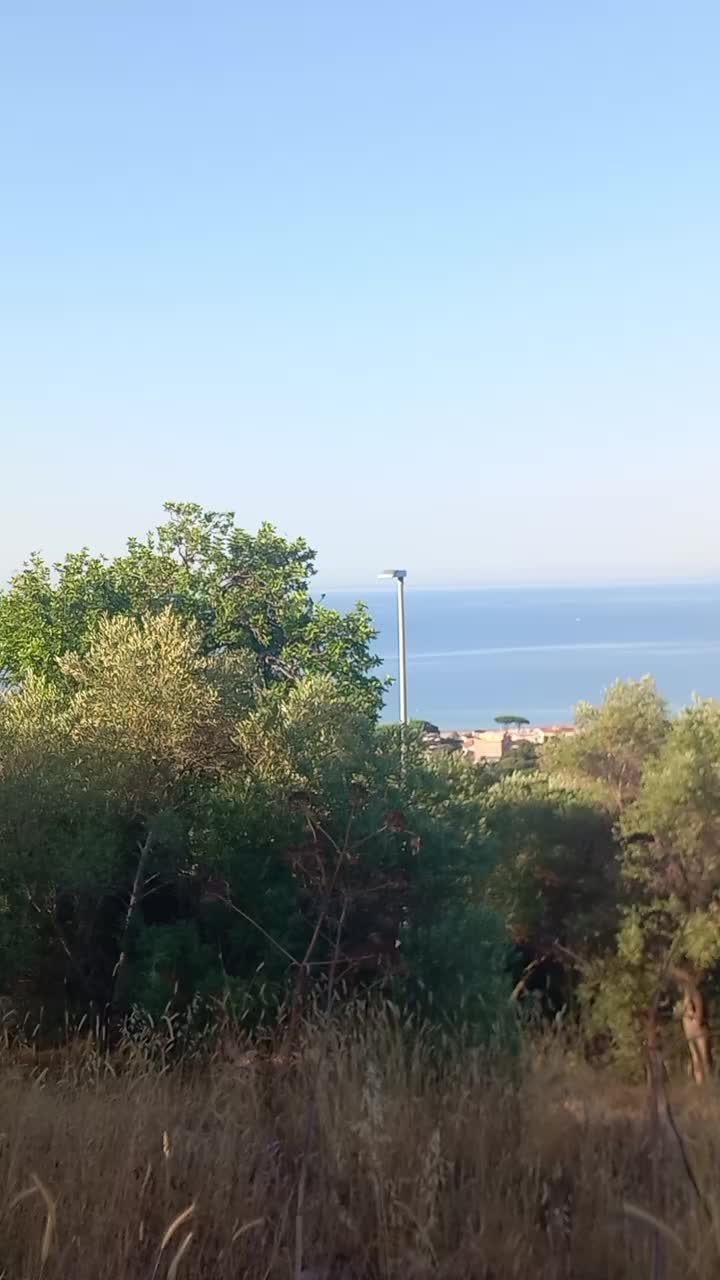 @alceo d'onofrio