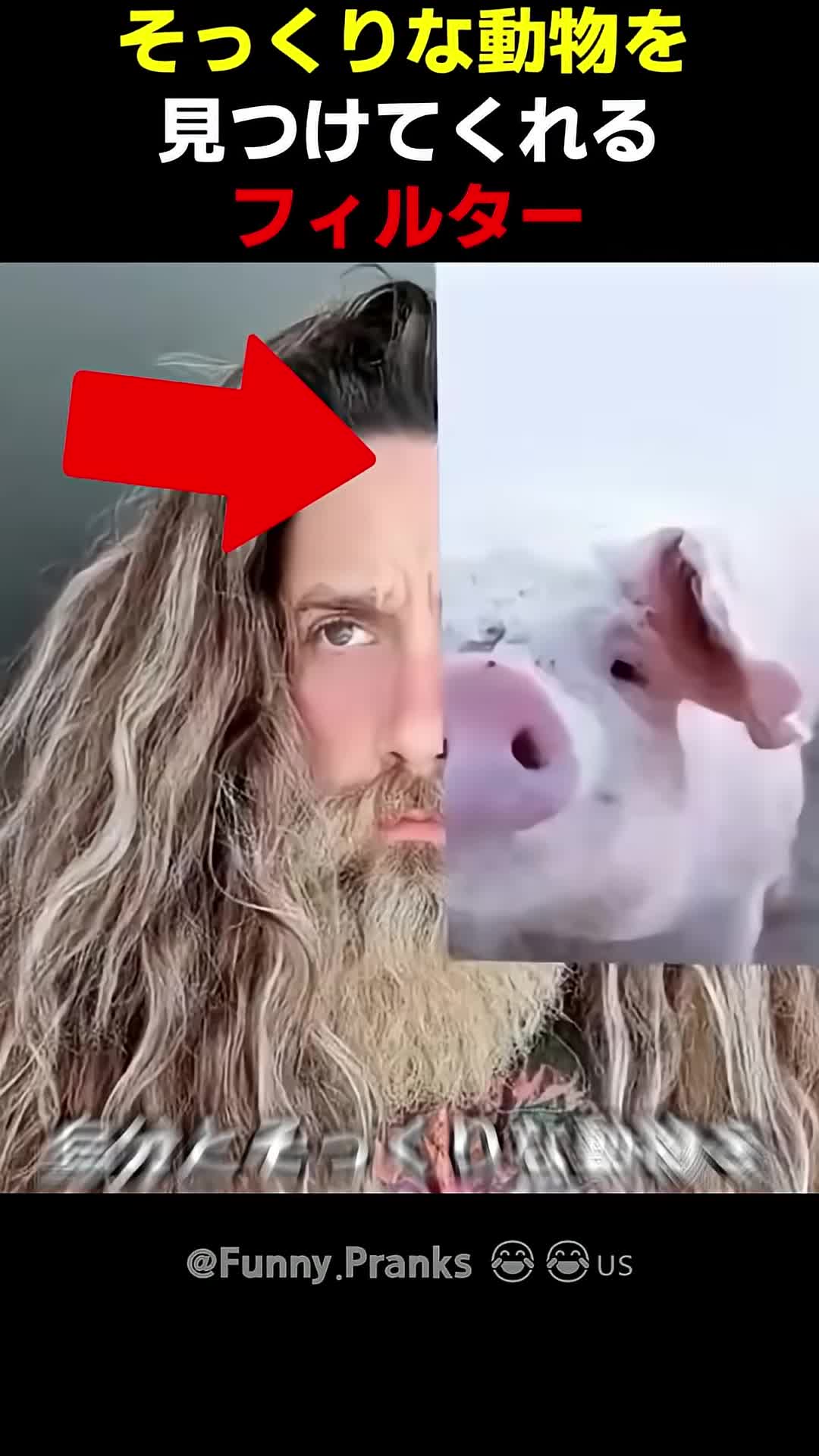 @user8297523422119