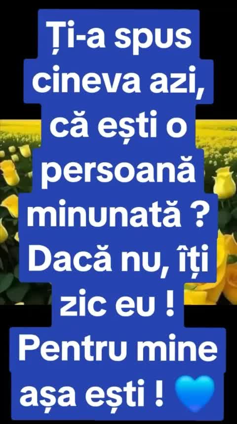 @🔷️🔵ȘTEFAN 🔵🔷️