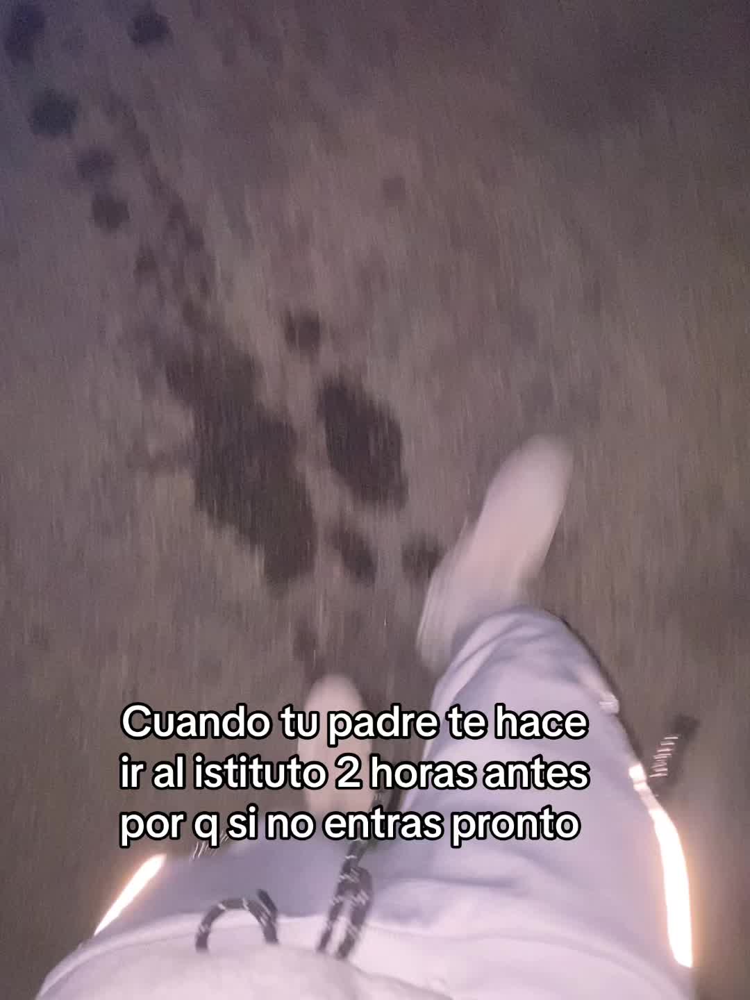 @14.vilchez