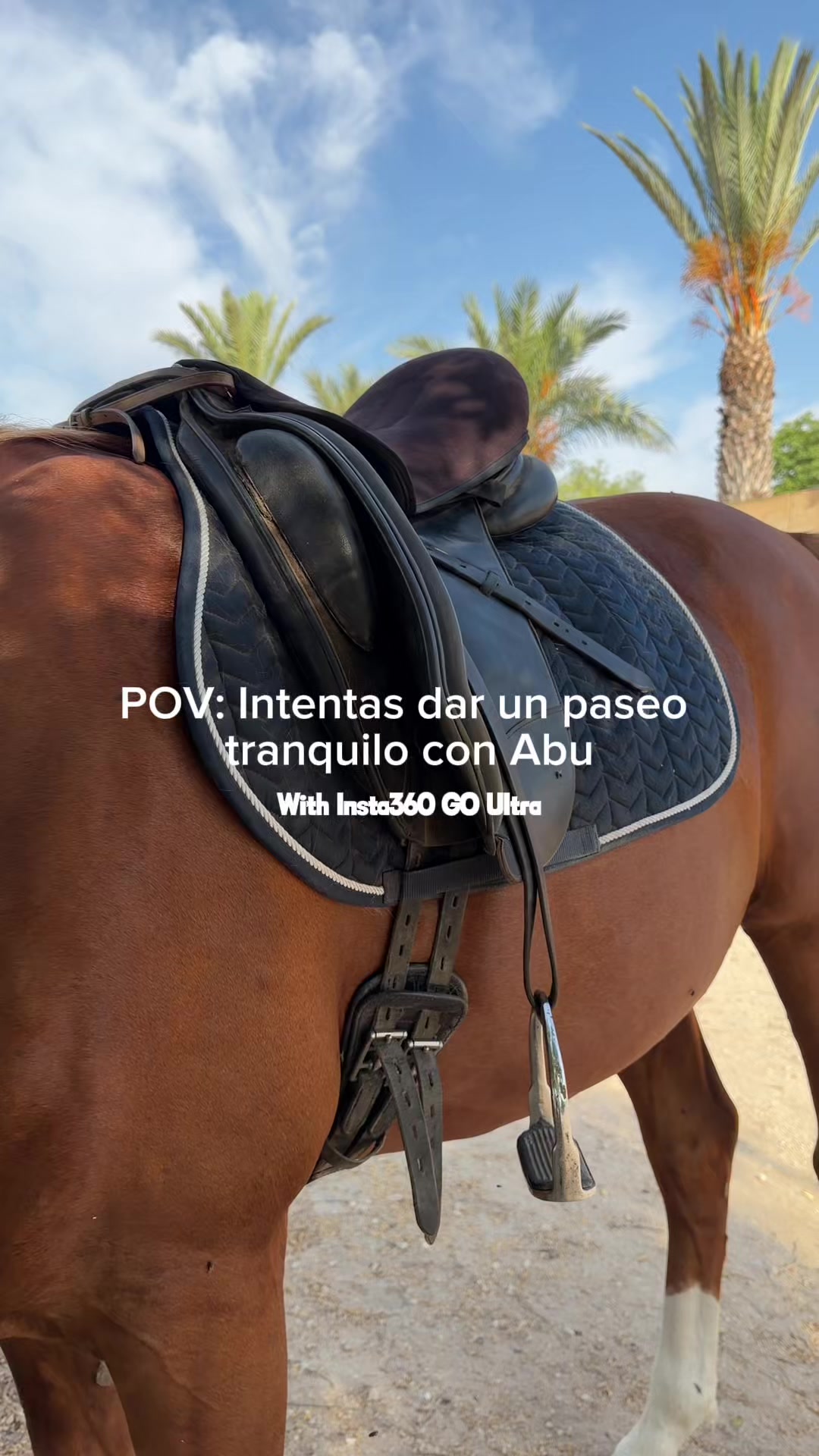@MyHorse