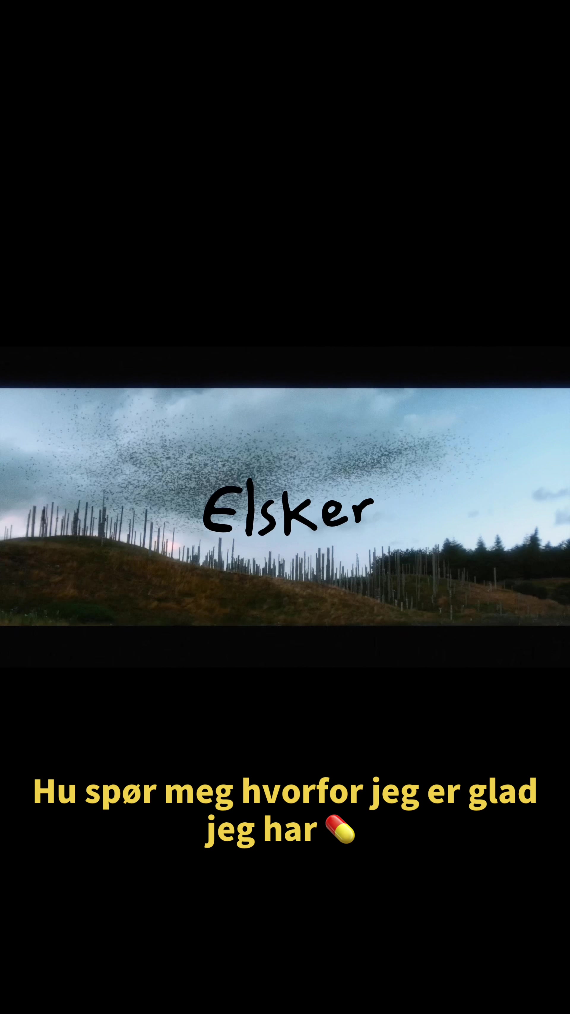 @Elsker