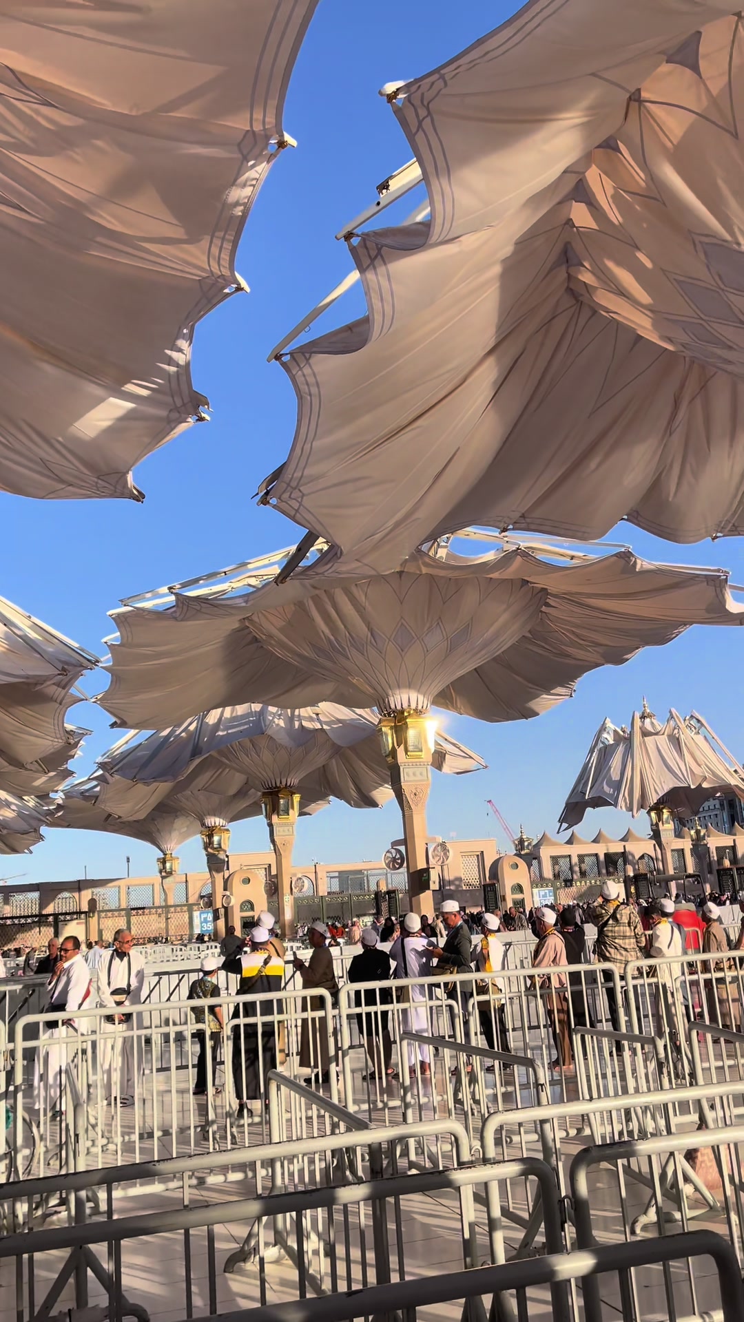 @سیدسردار✨🕊️