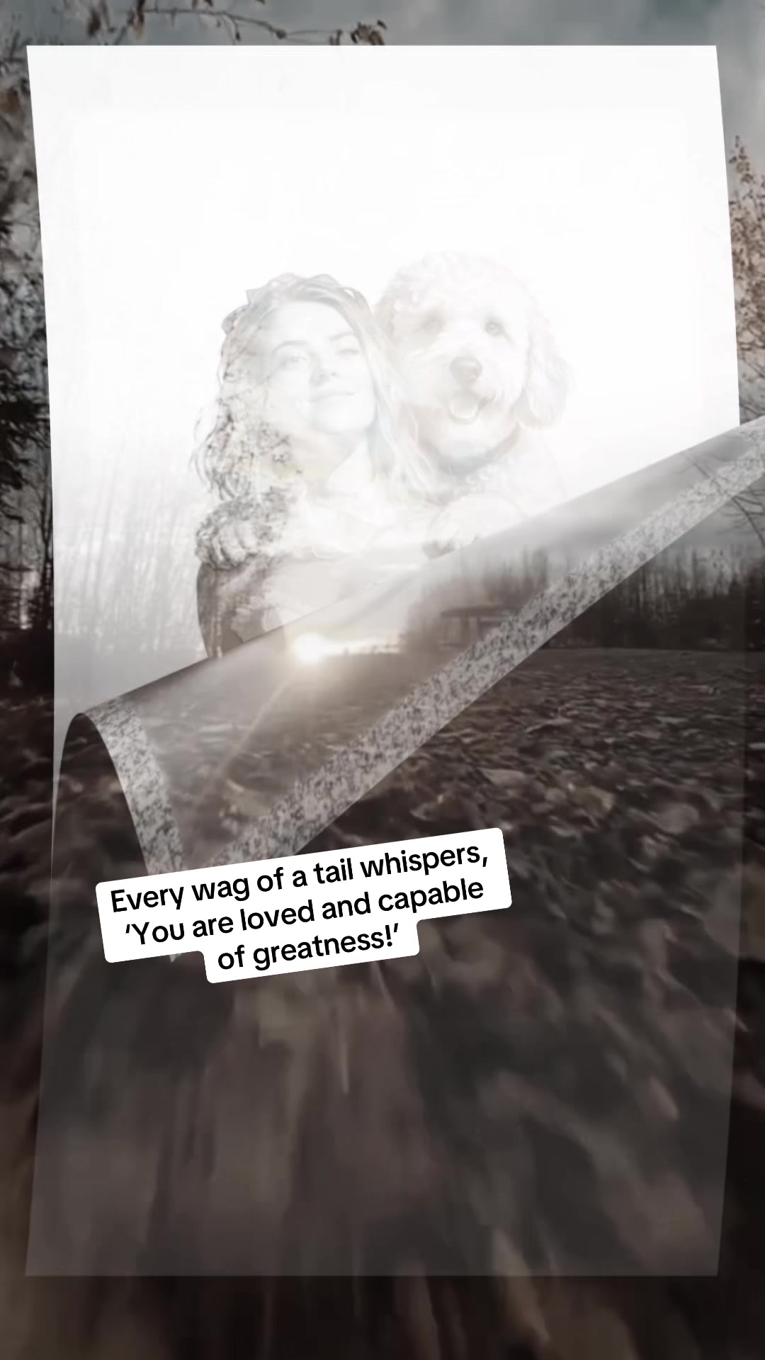 @THE 𝓟𝓪𝓲𝓻 𝓟𝓻𝓸𝓳𝓮𝓬𝓽