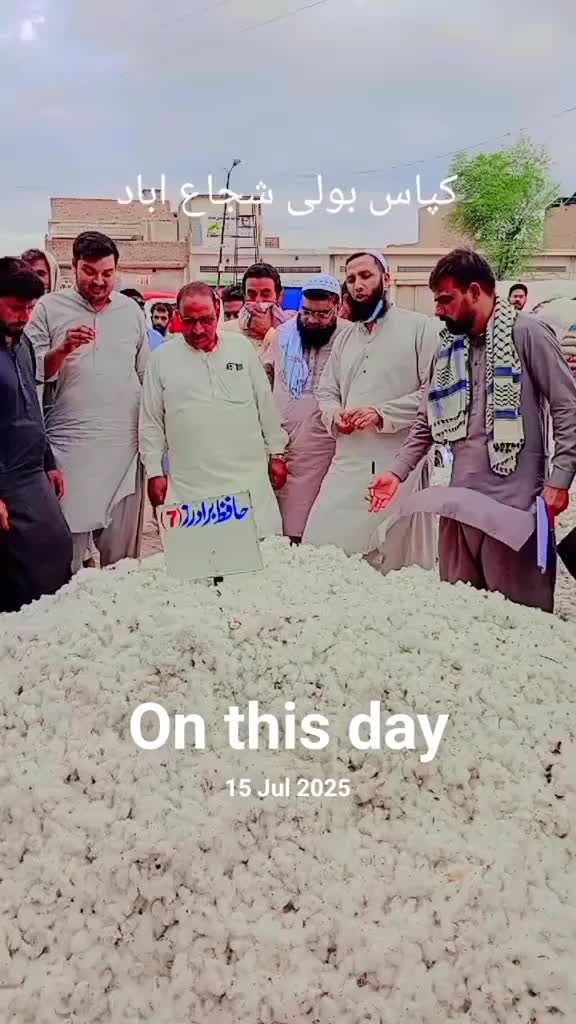 @💚Jamshed Magsi51214