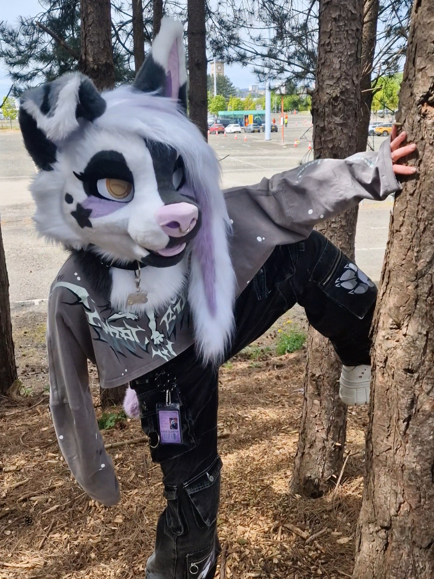 @Bailey (lilpixiekitten)