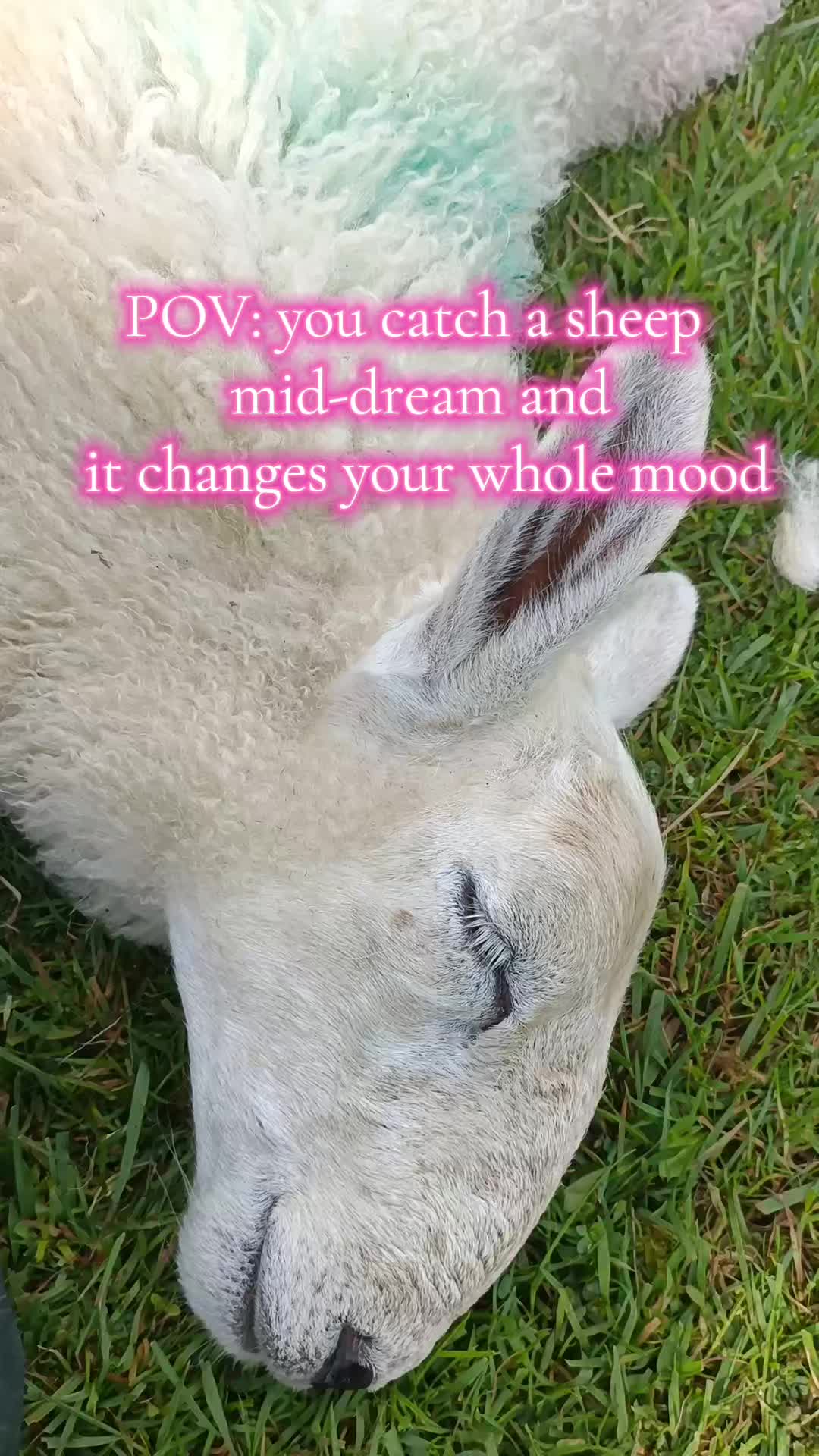 @fieldsforevere42