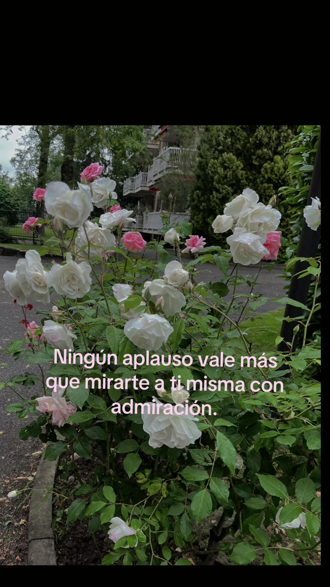 @Isabel 🦋🦋