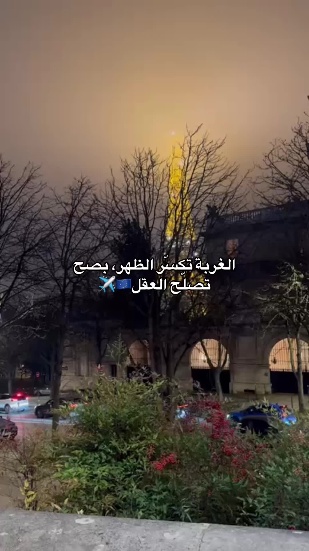 @ممرض جزائري في المانيا 🇩🇪