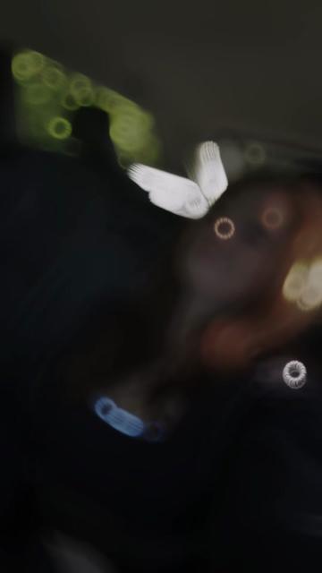 @🌸𝓡𝓱𝔂𝓾𝓶𝓲 🌸