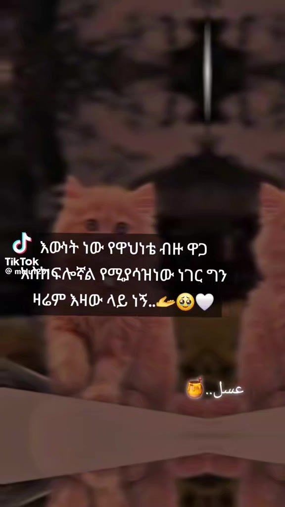 @user74095008964