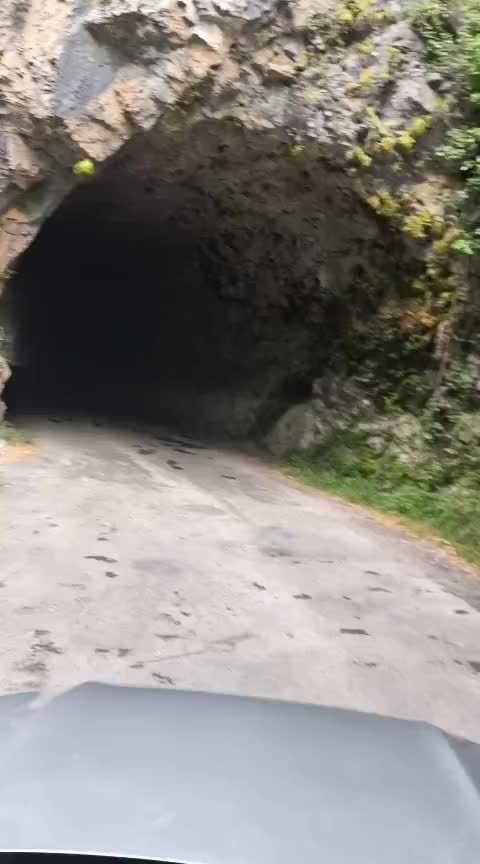 @david4cx