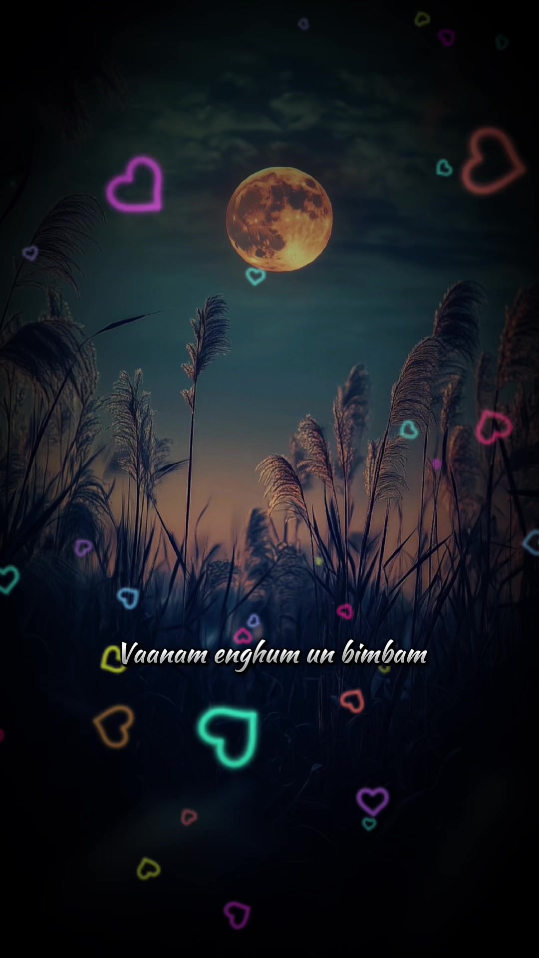 @av_musicworld