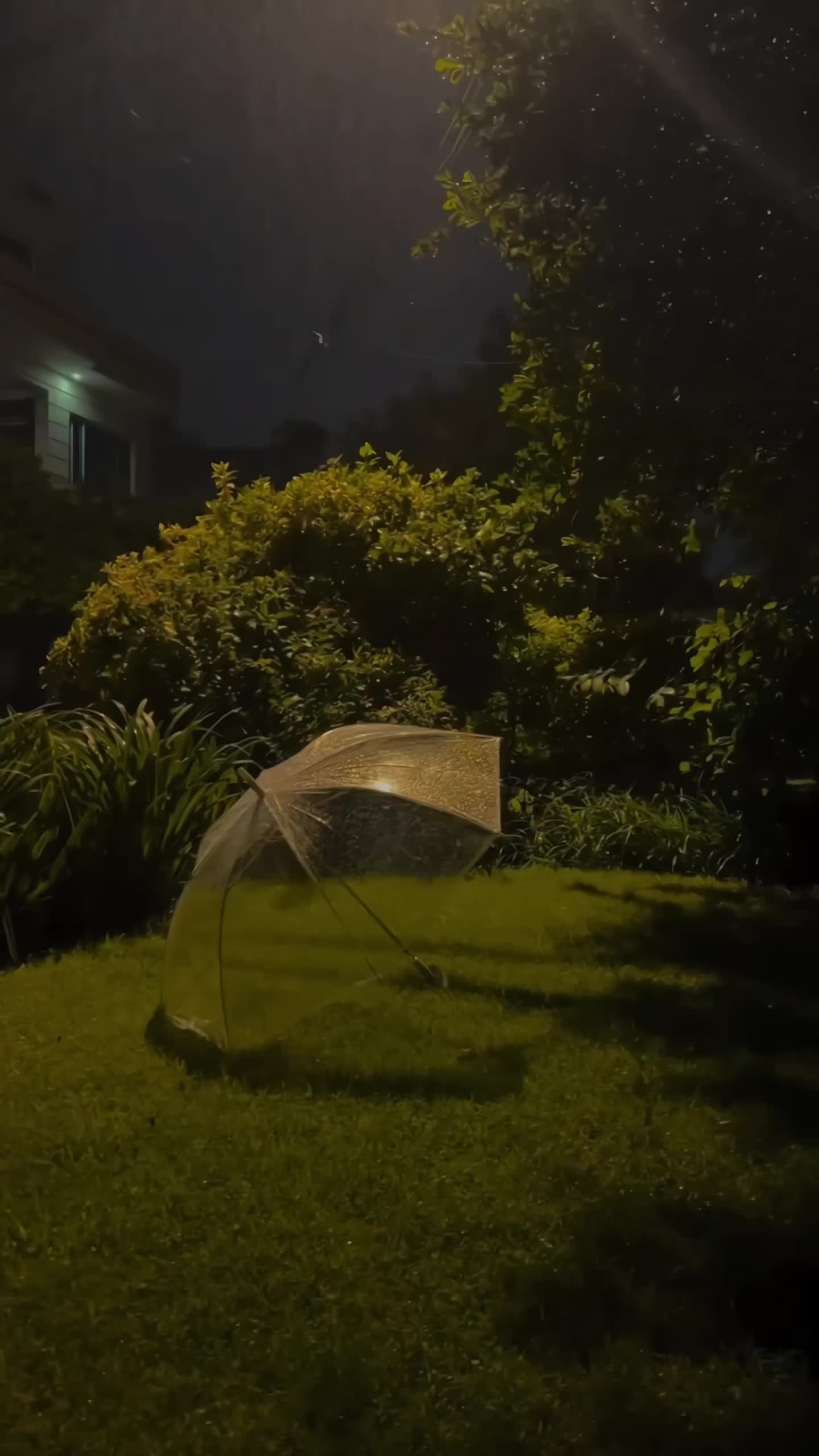 @Aesthetic