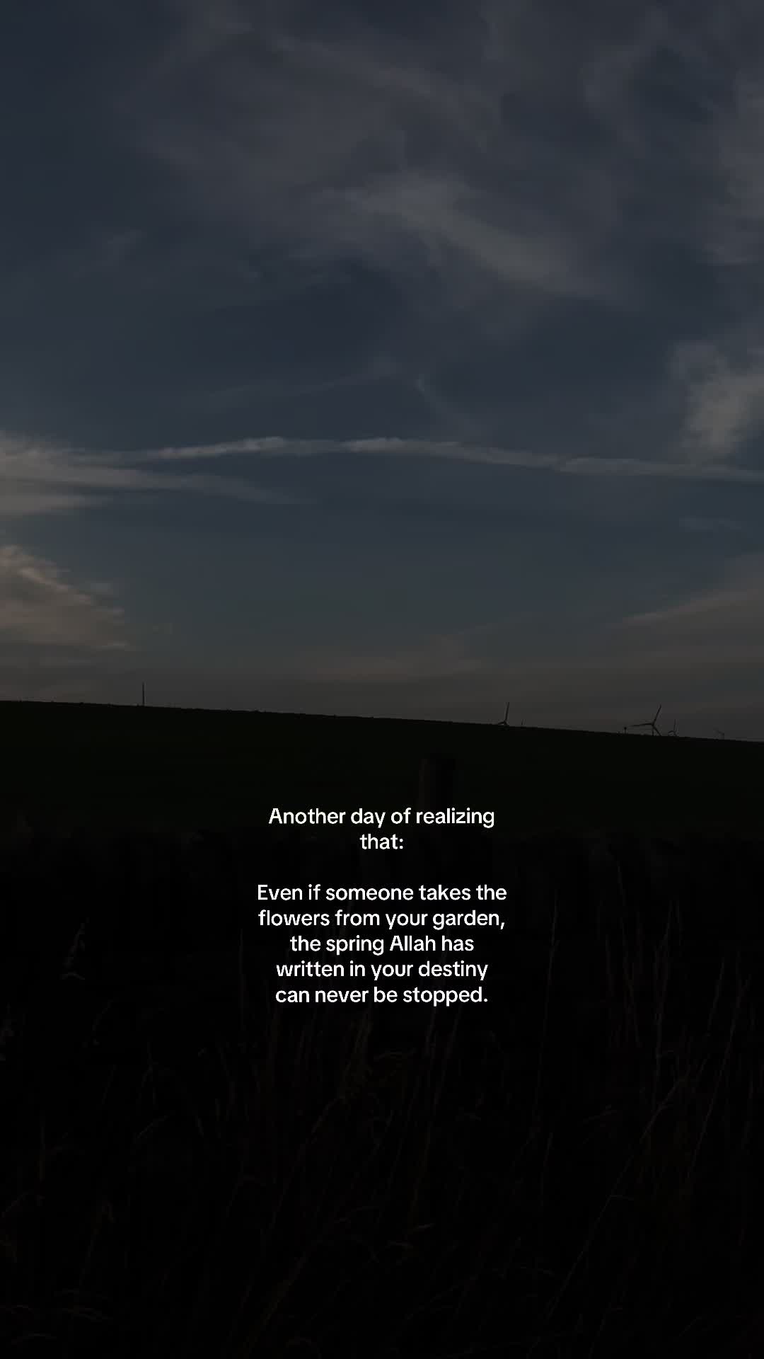 @No Doubt🕊️