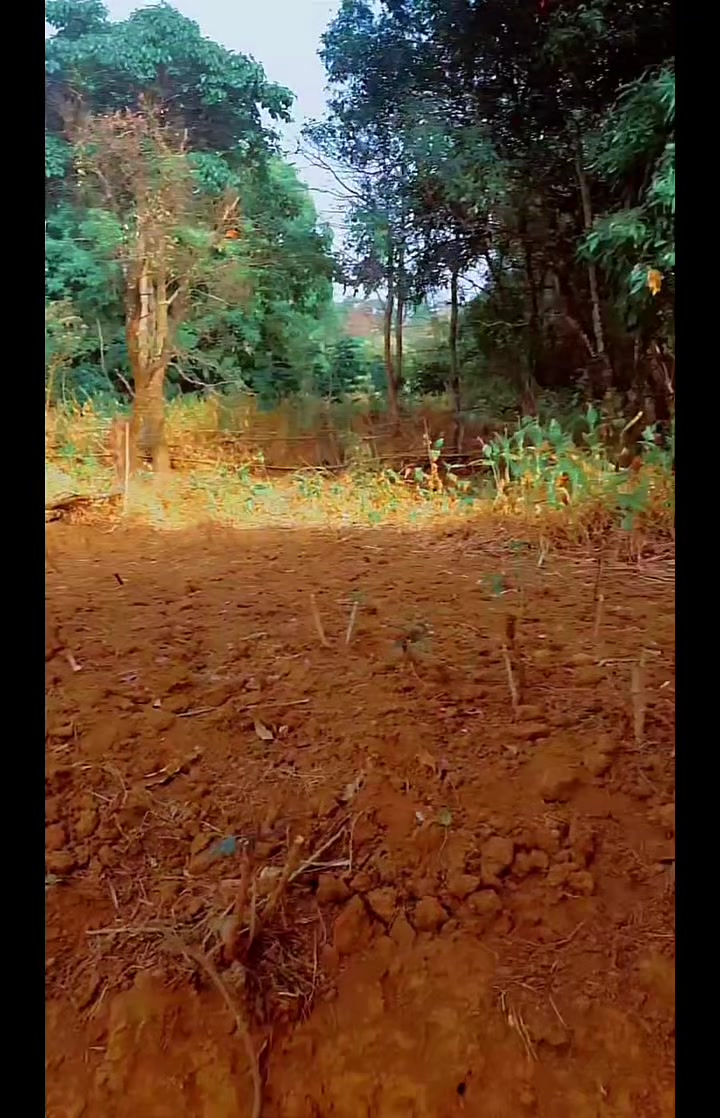 @foutadjallontv1