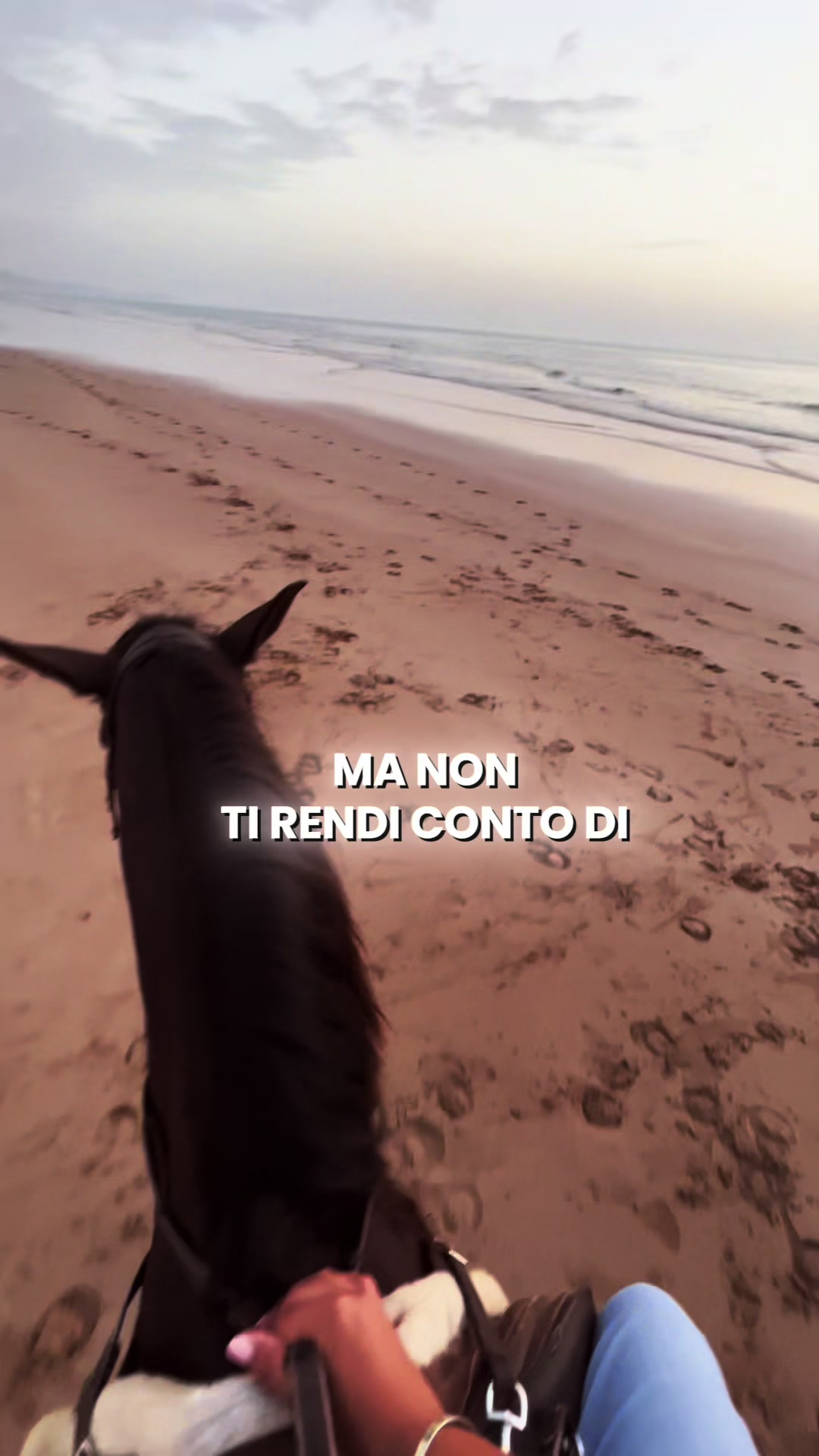 @Marinella Malaguti