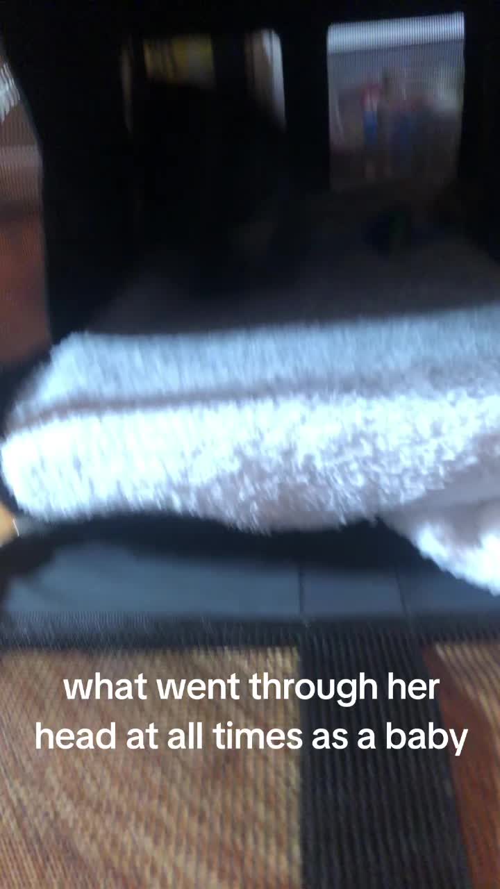 @terpfaery