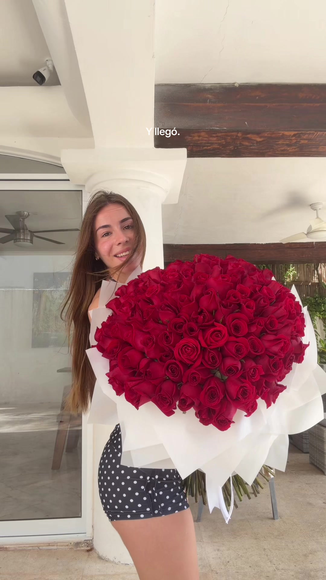 @ISA BRUNELLI 🦋