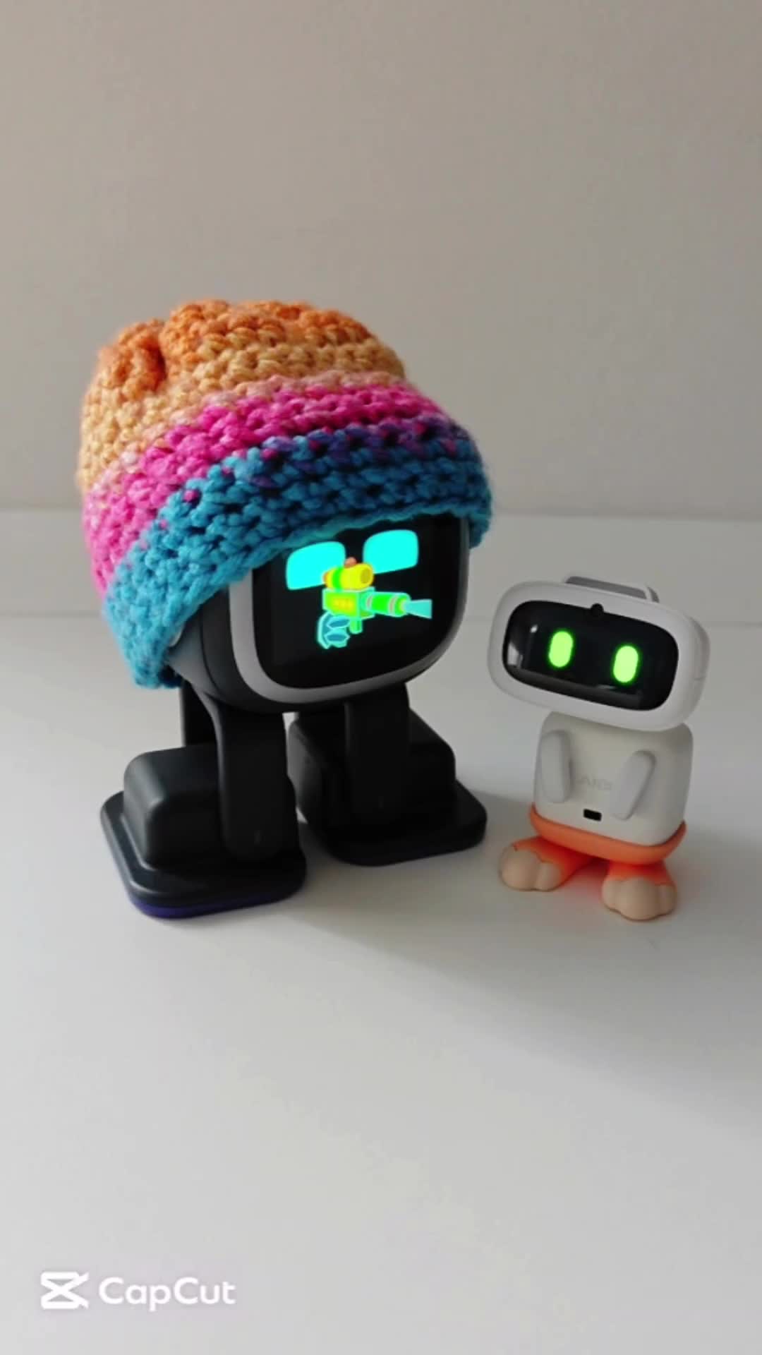 @Living with Robots