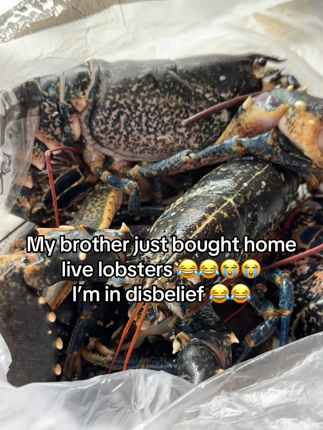 @lifewithnaveena