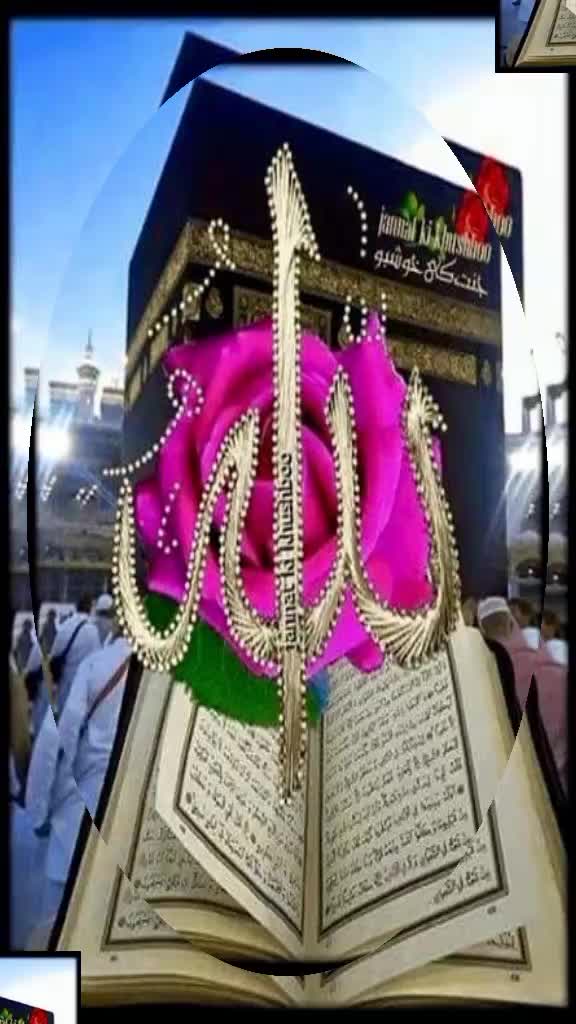 @👑Shakeel Mr Rajput 👑