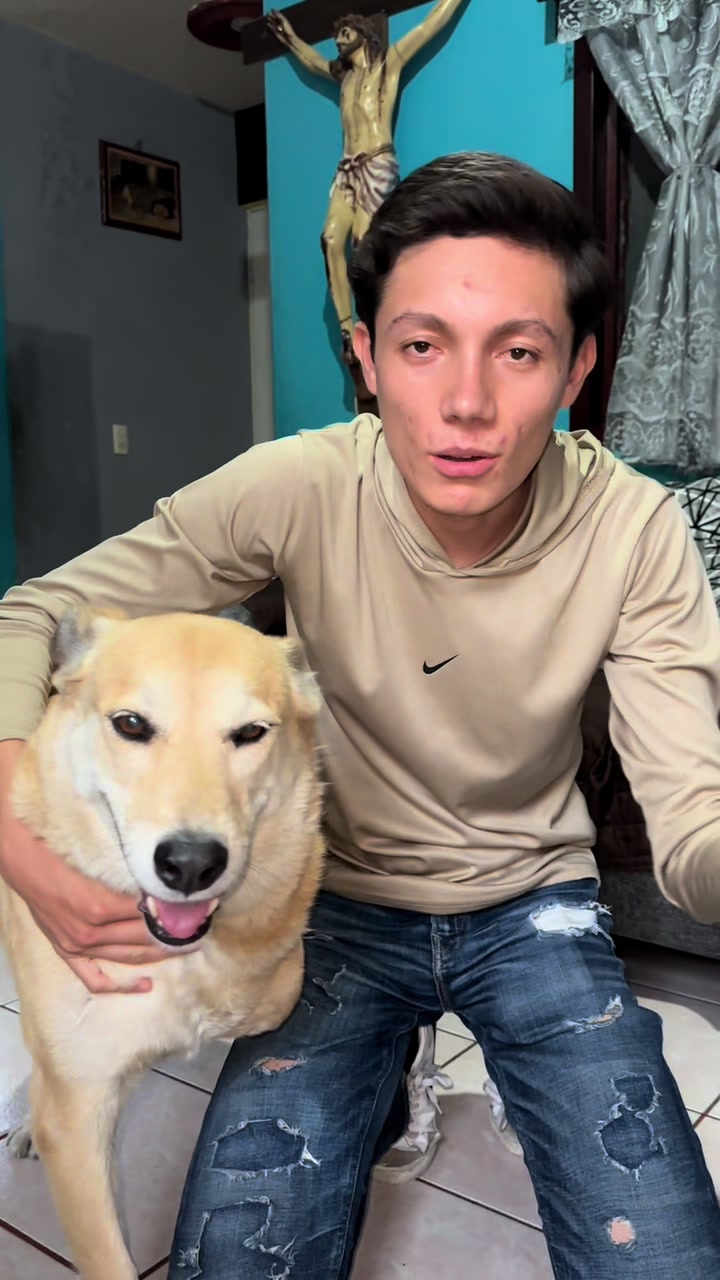 @Ceballoss