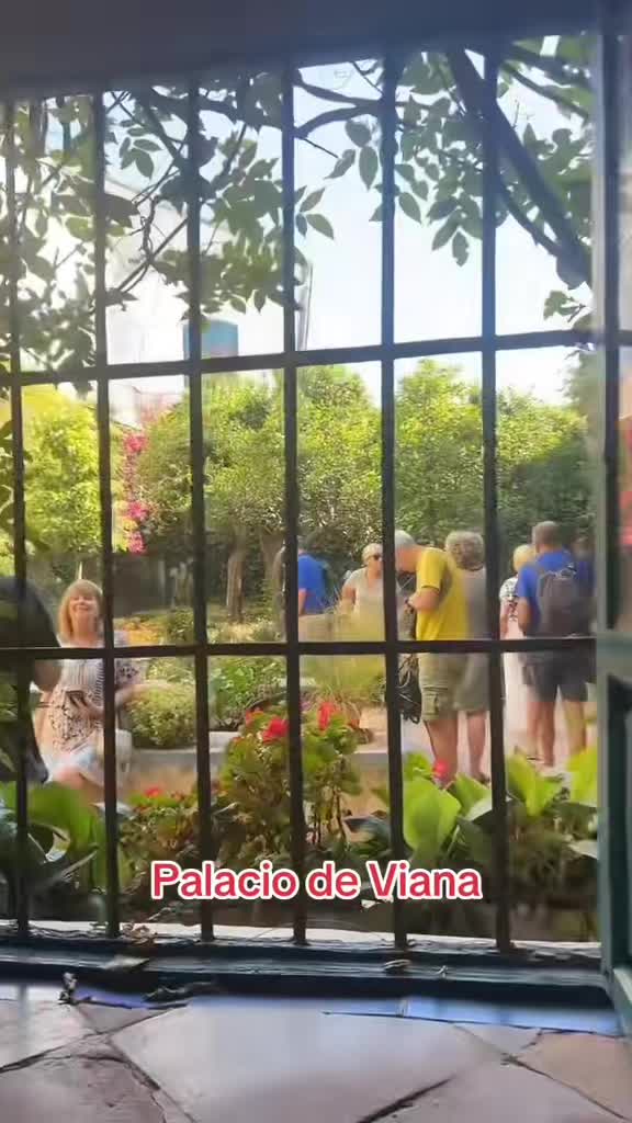 @Labambalinacordoba
