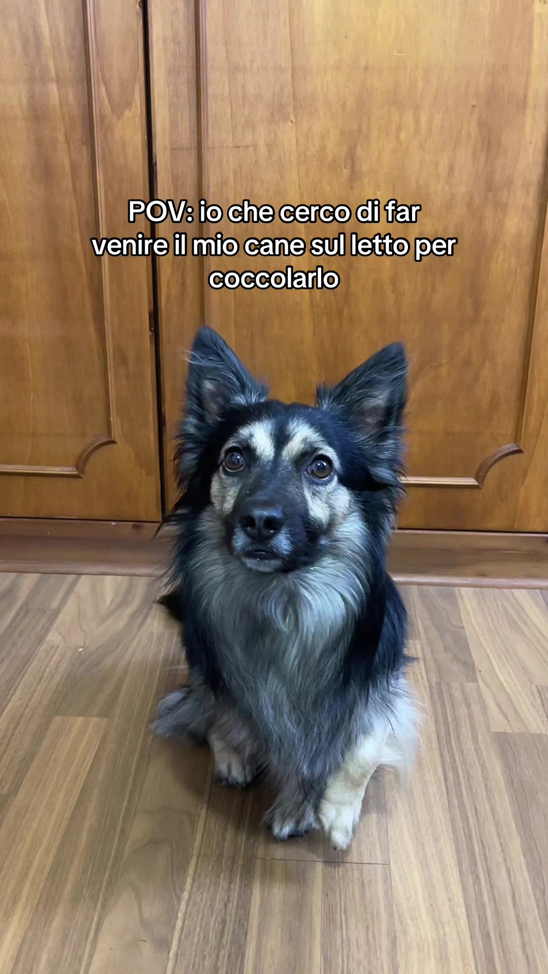 @Alberico De Giglio