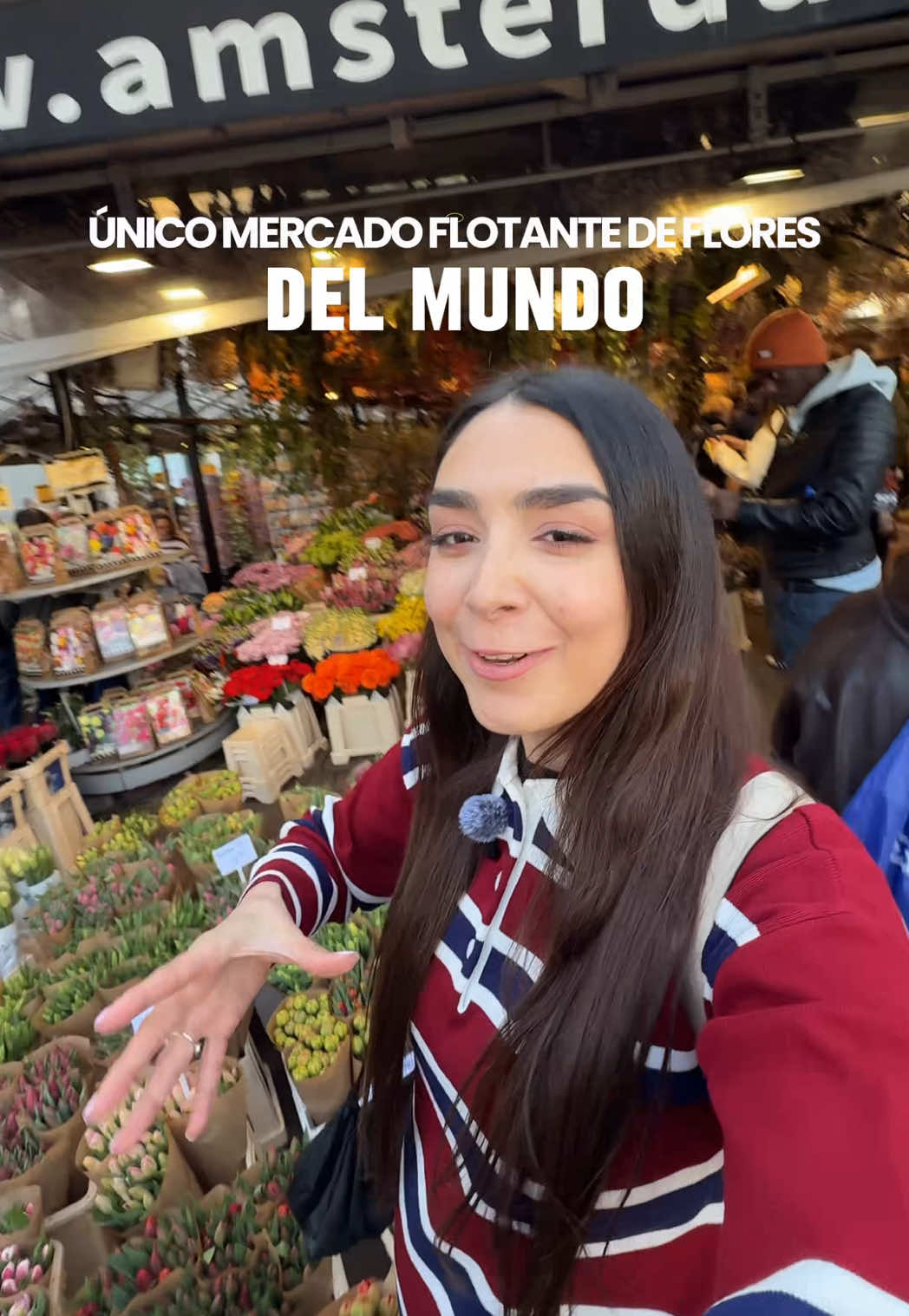 @genesisalemany