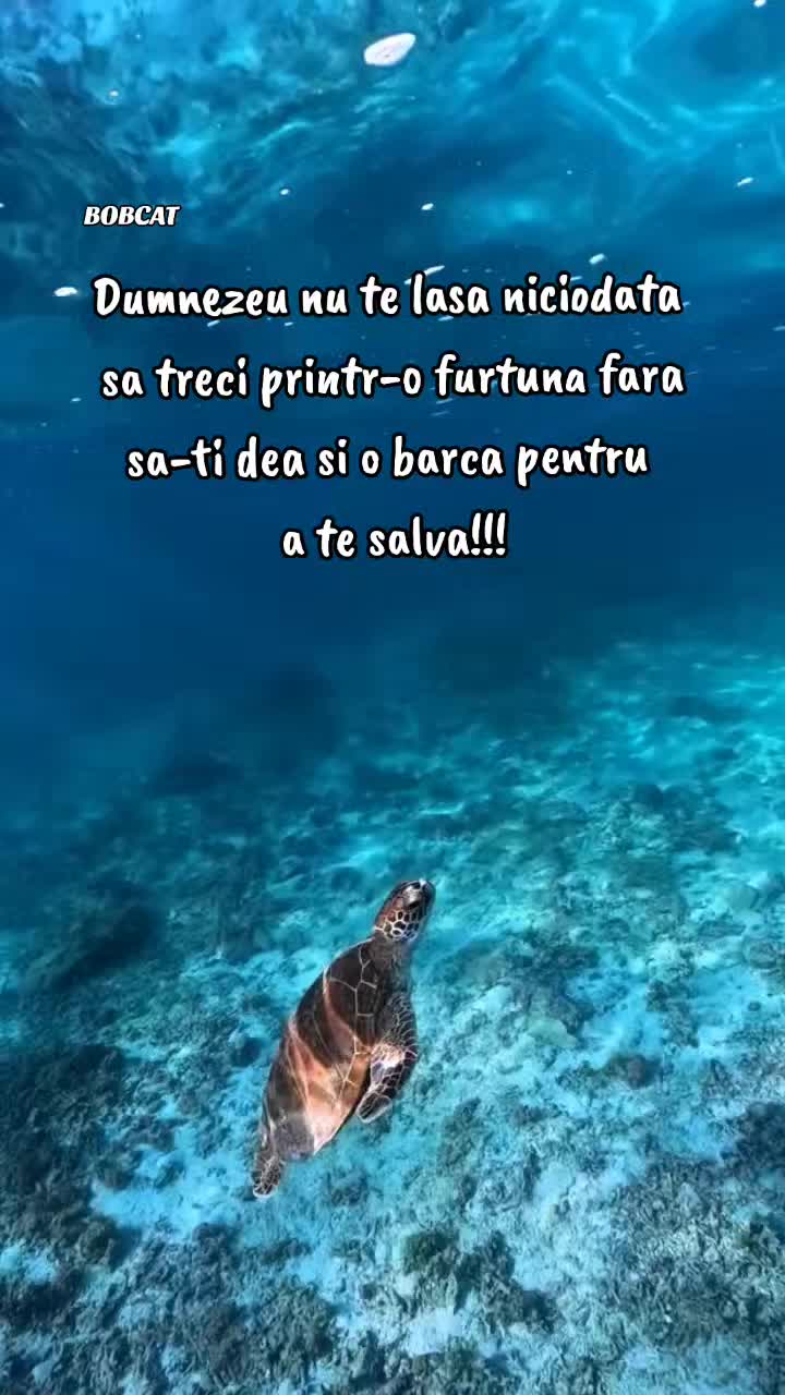 @Schimbare Pozitivă