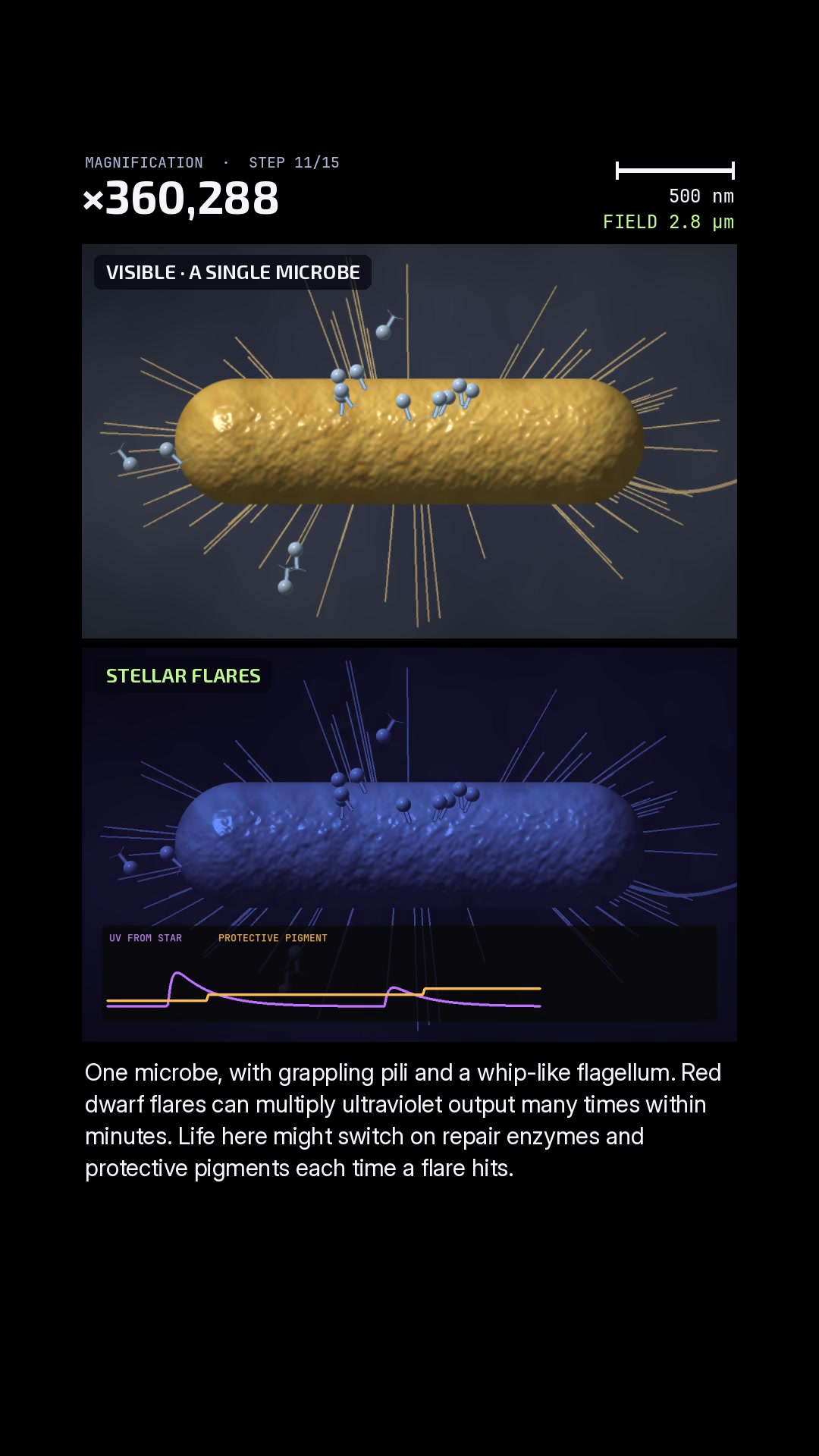 @ExoplanetWildlife