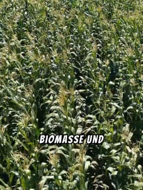 @Unglaubliche Fakten zu ...