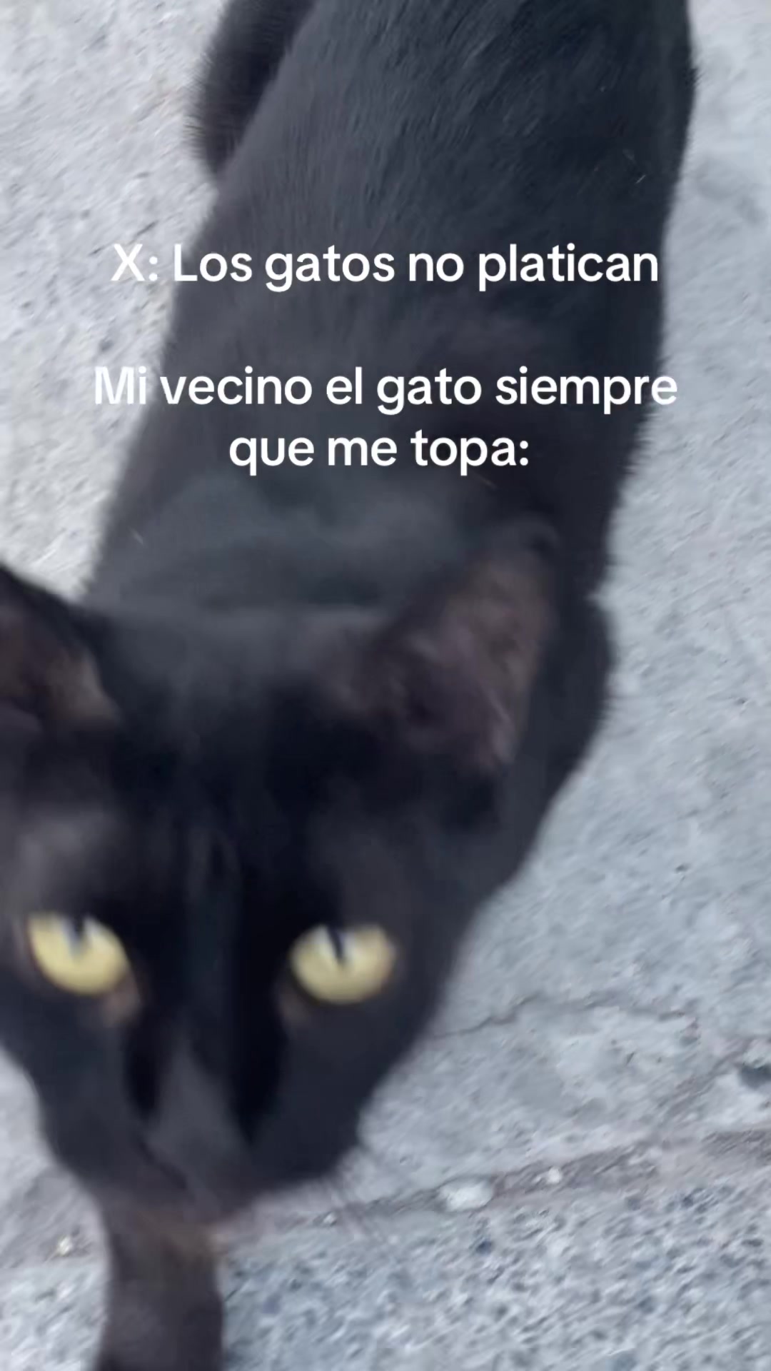 @Celina Salazar