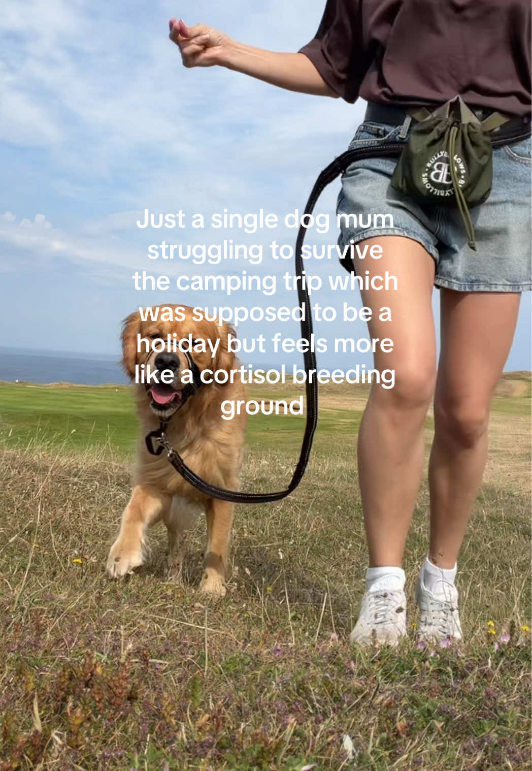 @Joey The Golden