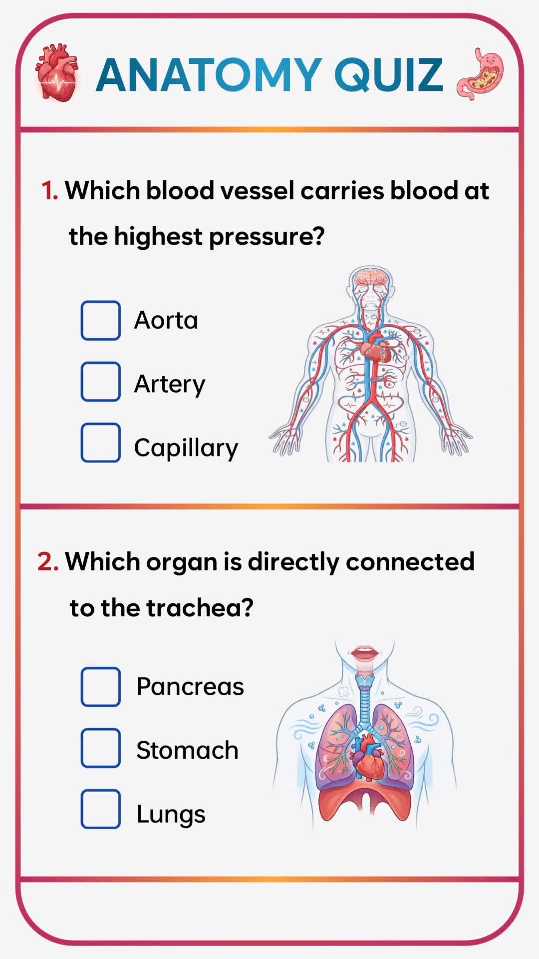 @QUIZ