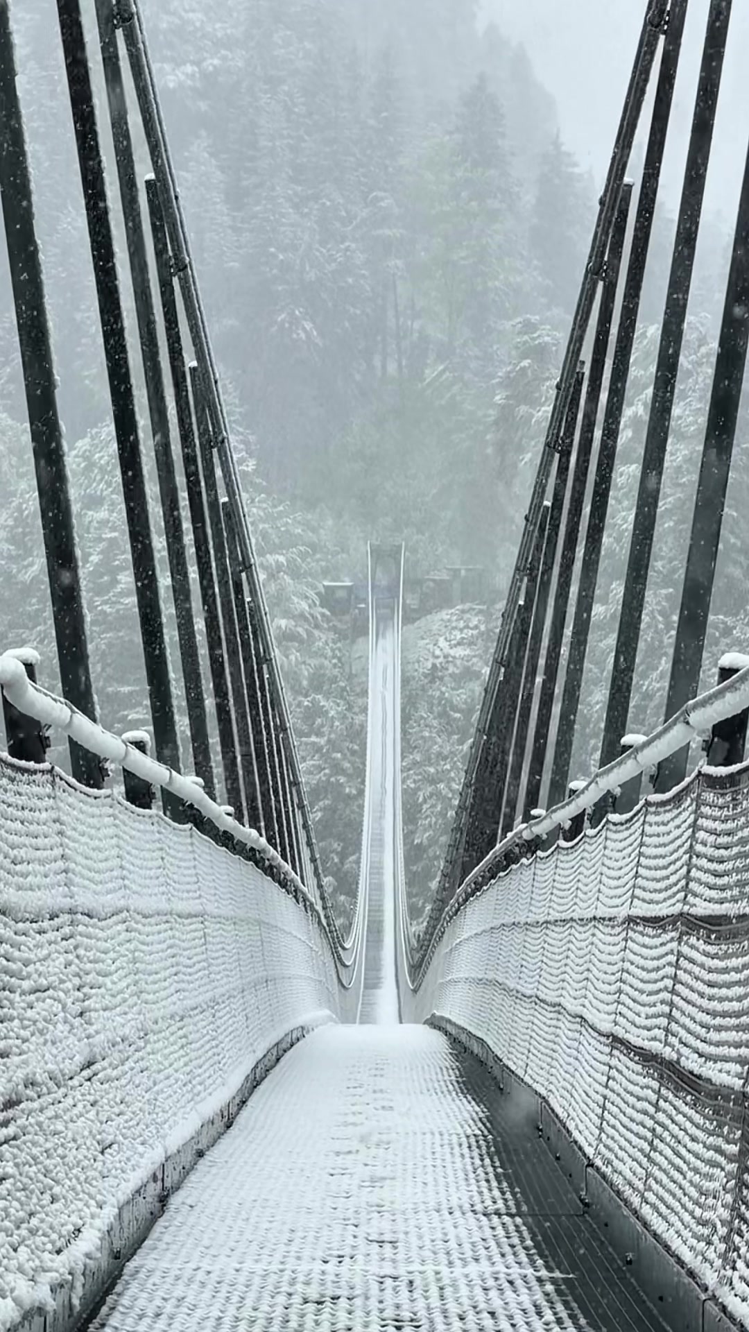 @highline179