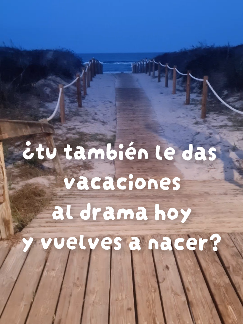@Anamaria Toncean