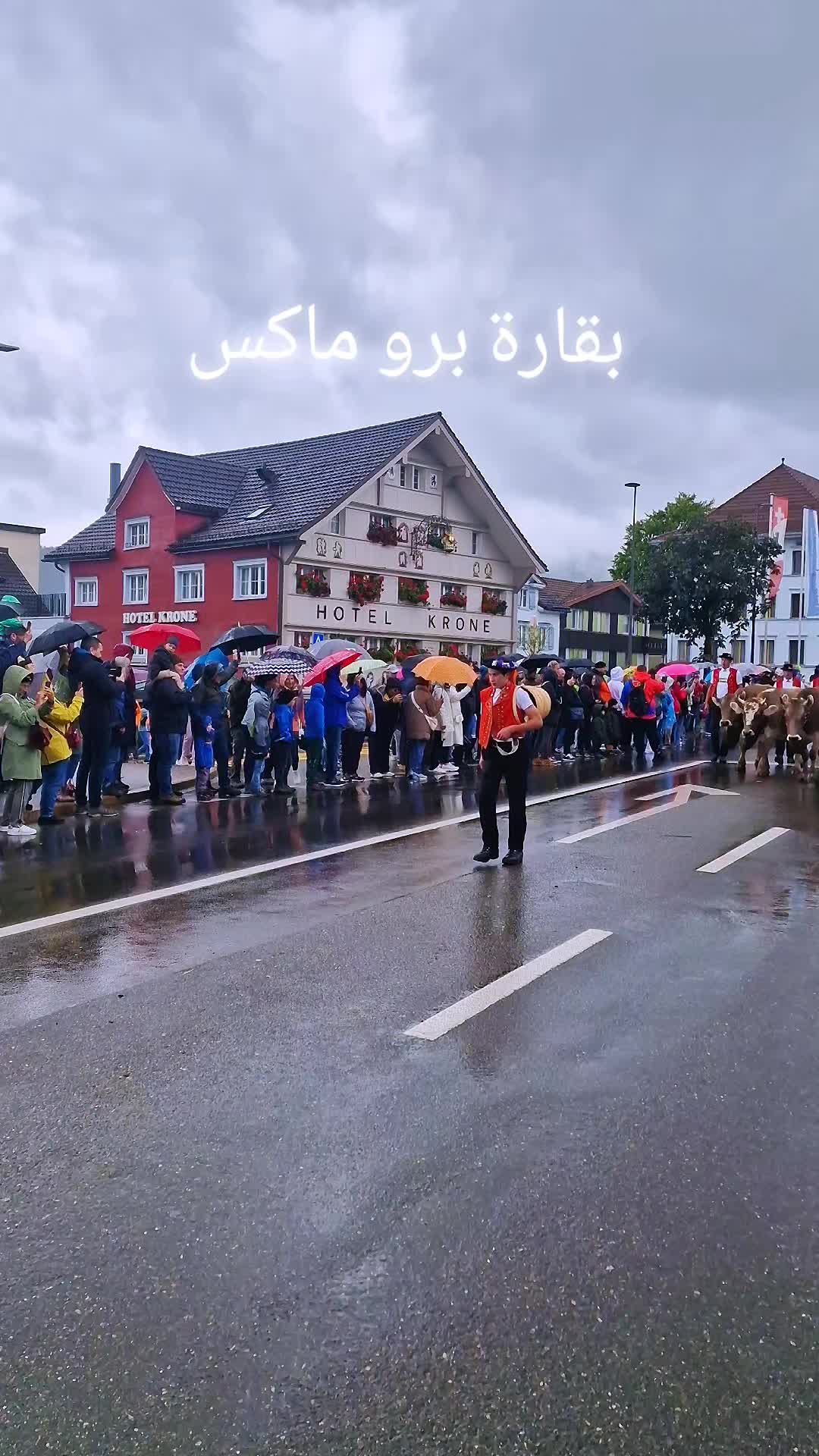 @السياحة في سويسرا🇸🇩🇨🇭 swis