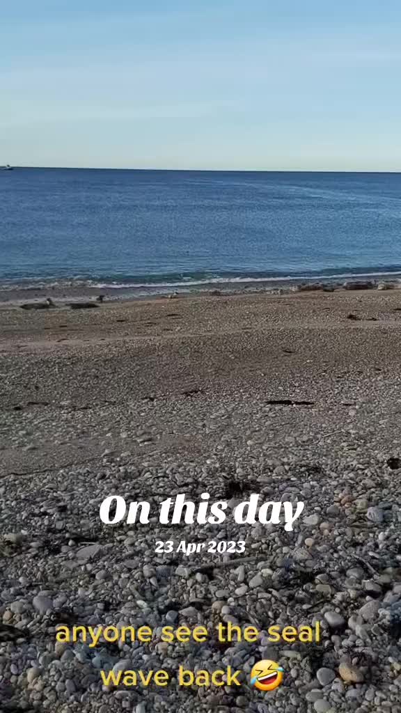 @lemons212
