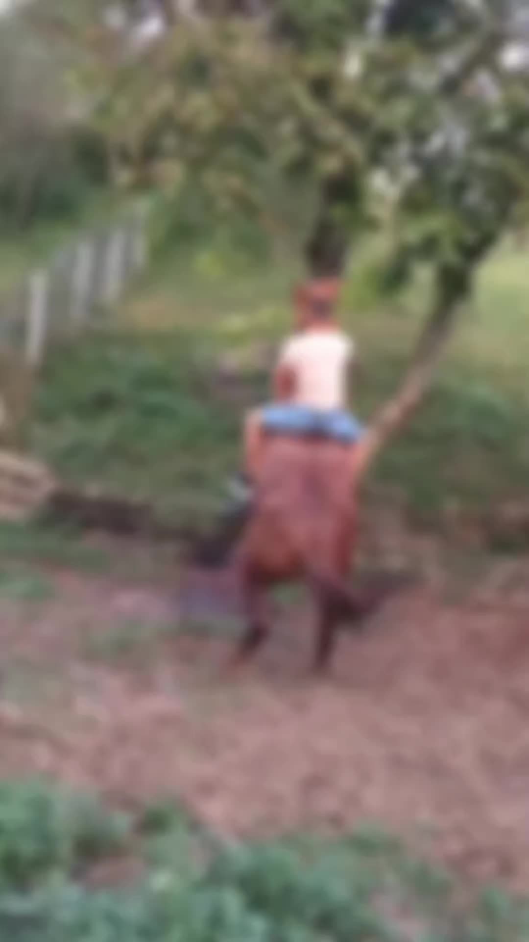 @😈 ilie...velțan.30😈