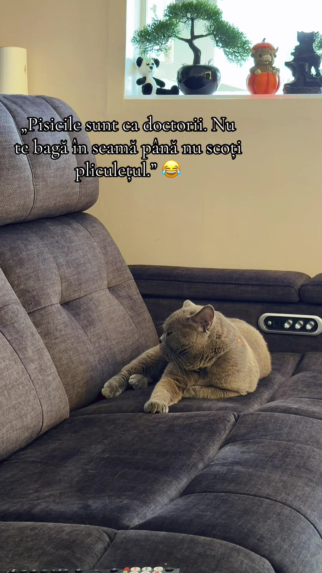 @Onofraș 🦂